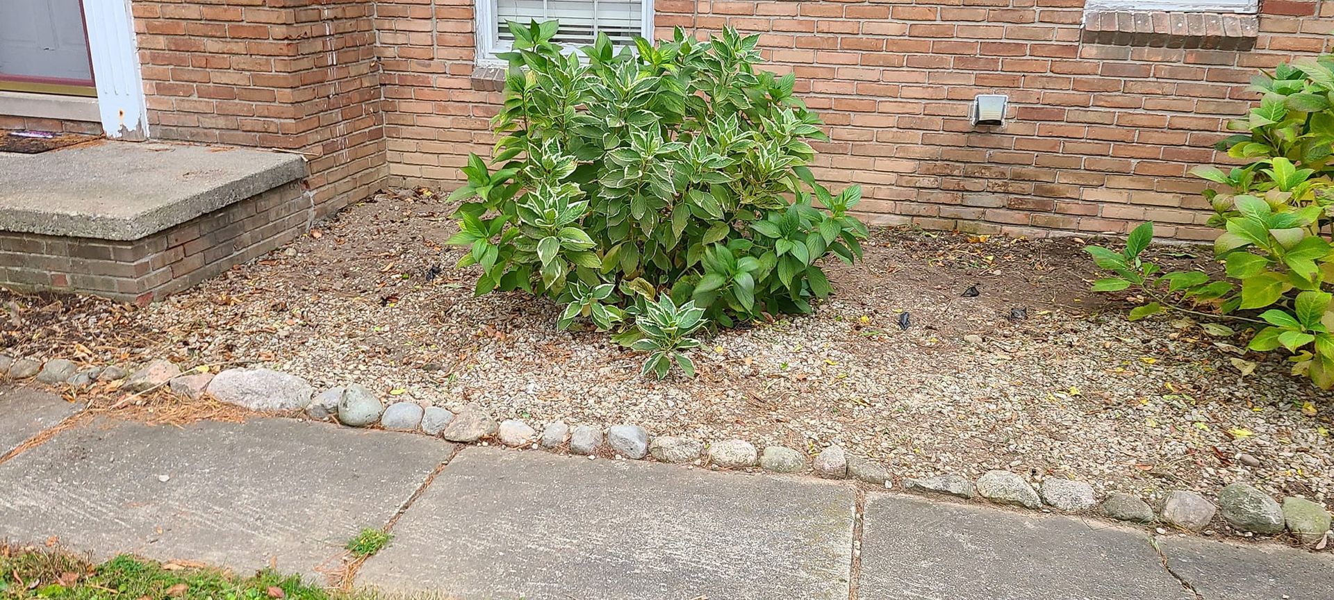 A brick house with a sidewalk and a bush in front of it.