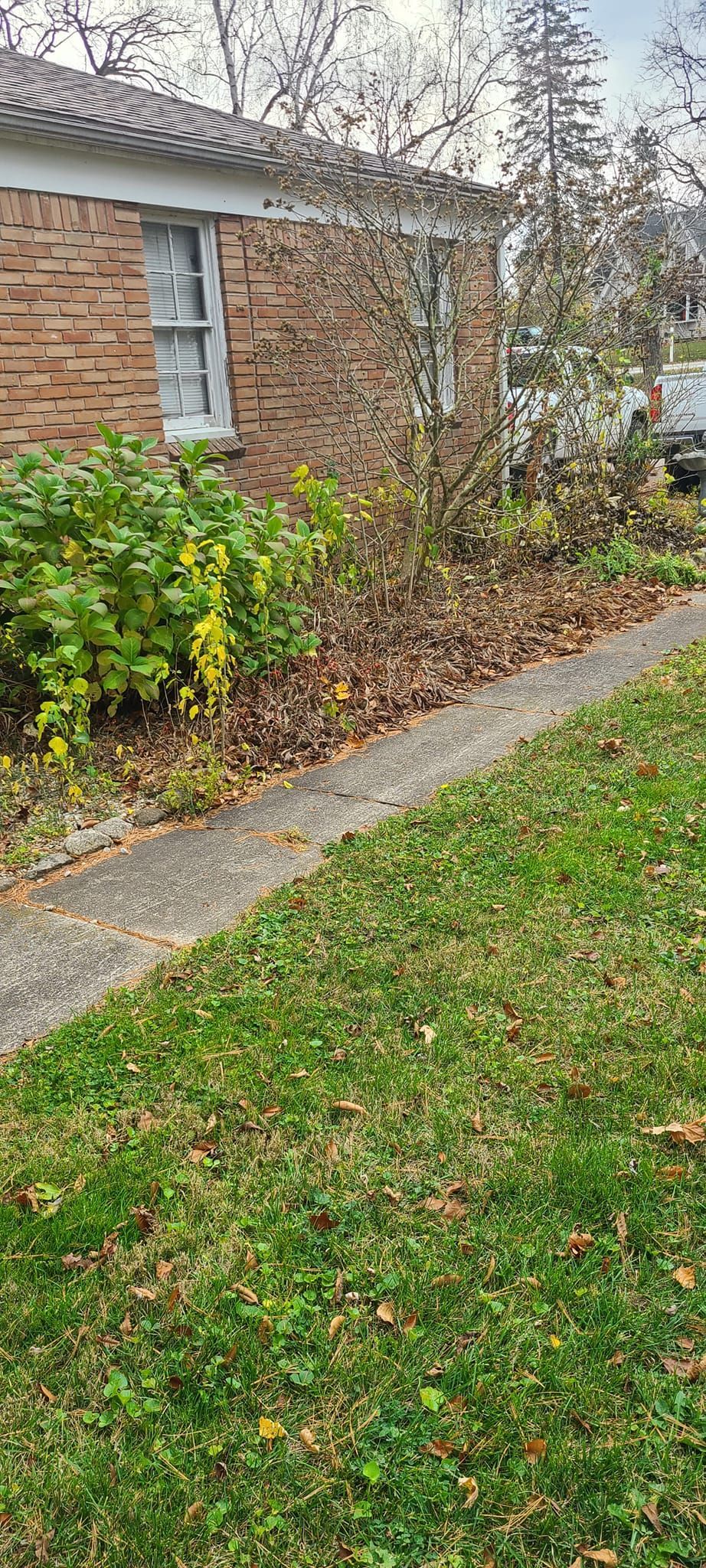A brick house with a lush green lawn and a sidewalk leading to it.