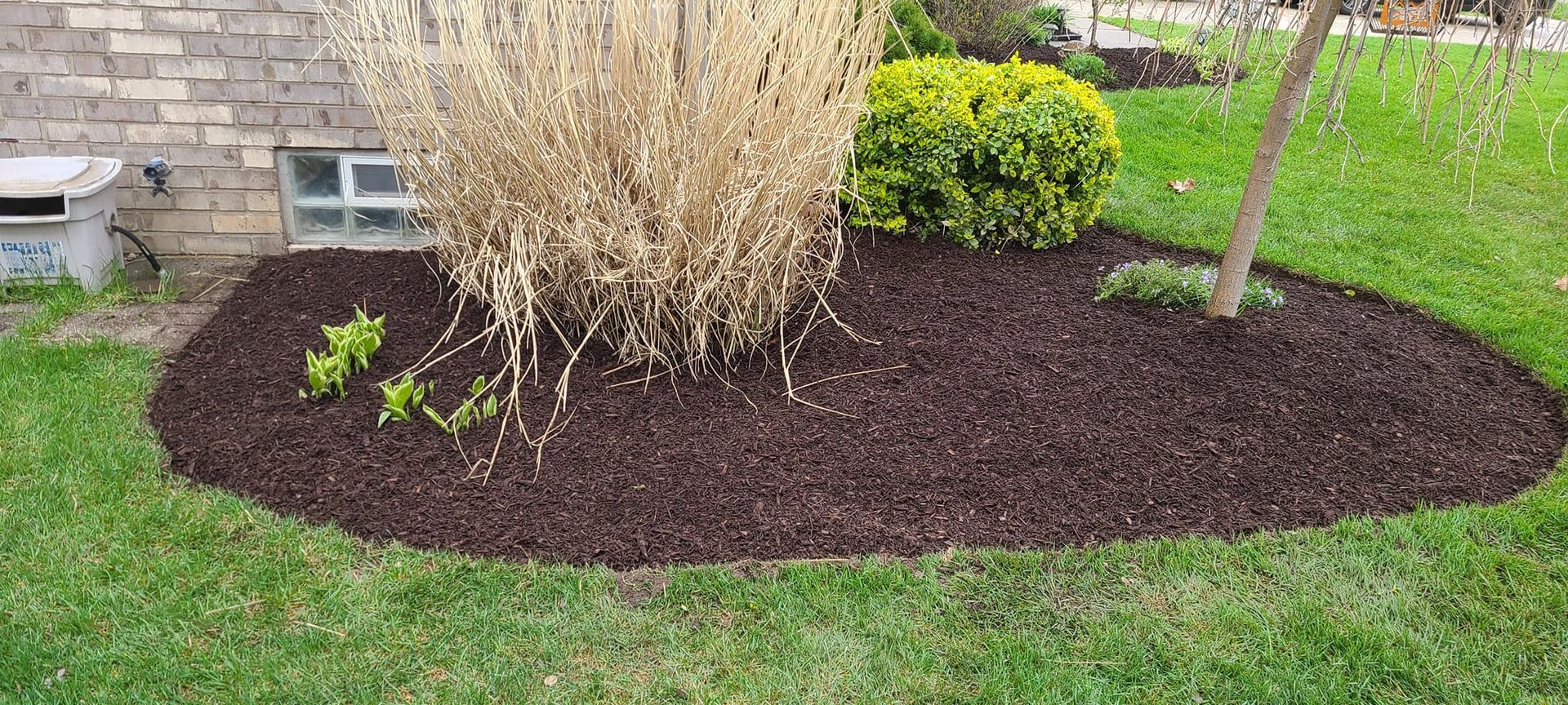 There is a tree in the middle of a circle of mulch.
