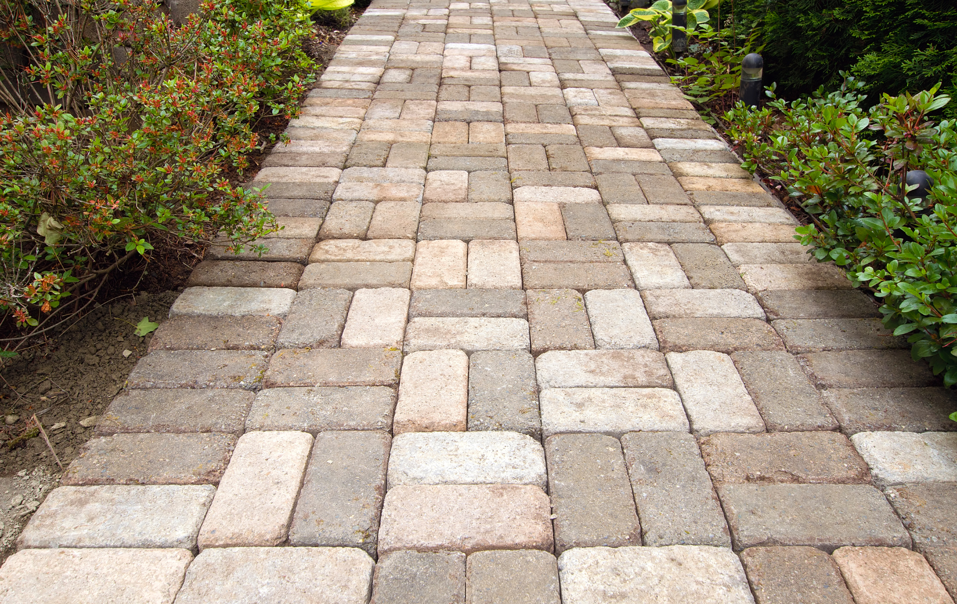 A brick walkway surrounded by bushes and trees in a garden.