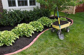 Fertilizers —  Mulching around the Bushes in New City, NY