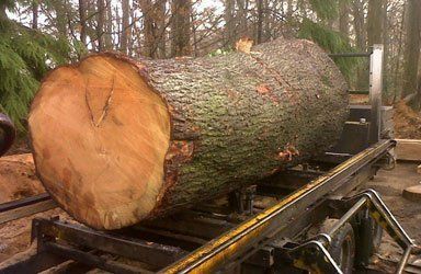 Timber supplies from Eastern Counties Mobile Saw Milling
