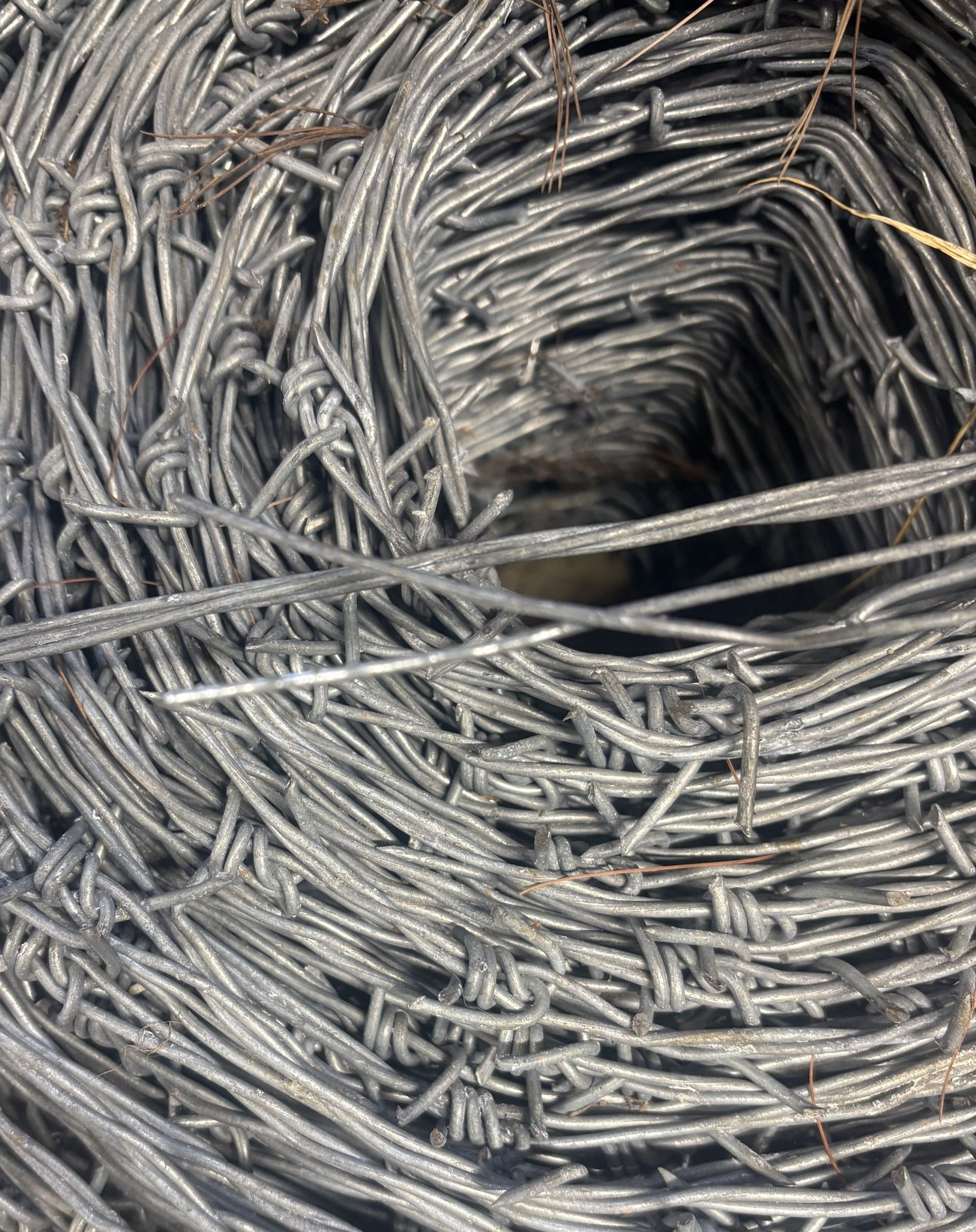 Fil barbelé calibre 12-2Brins