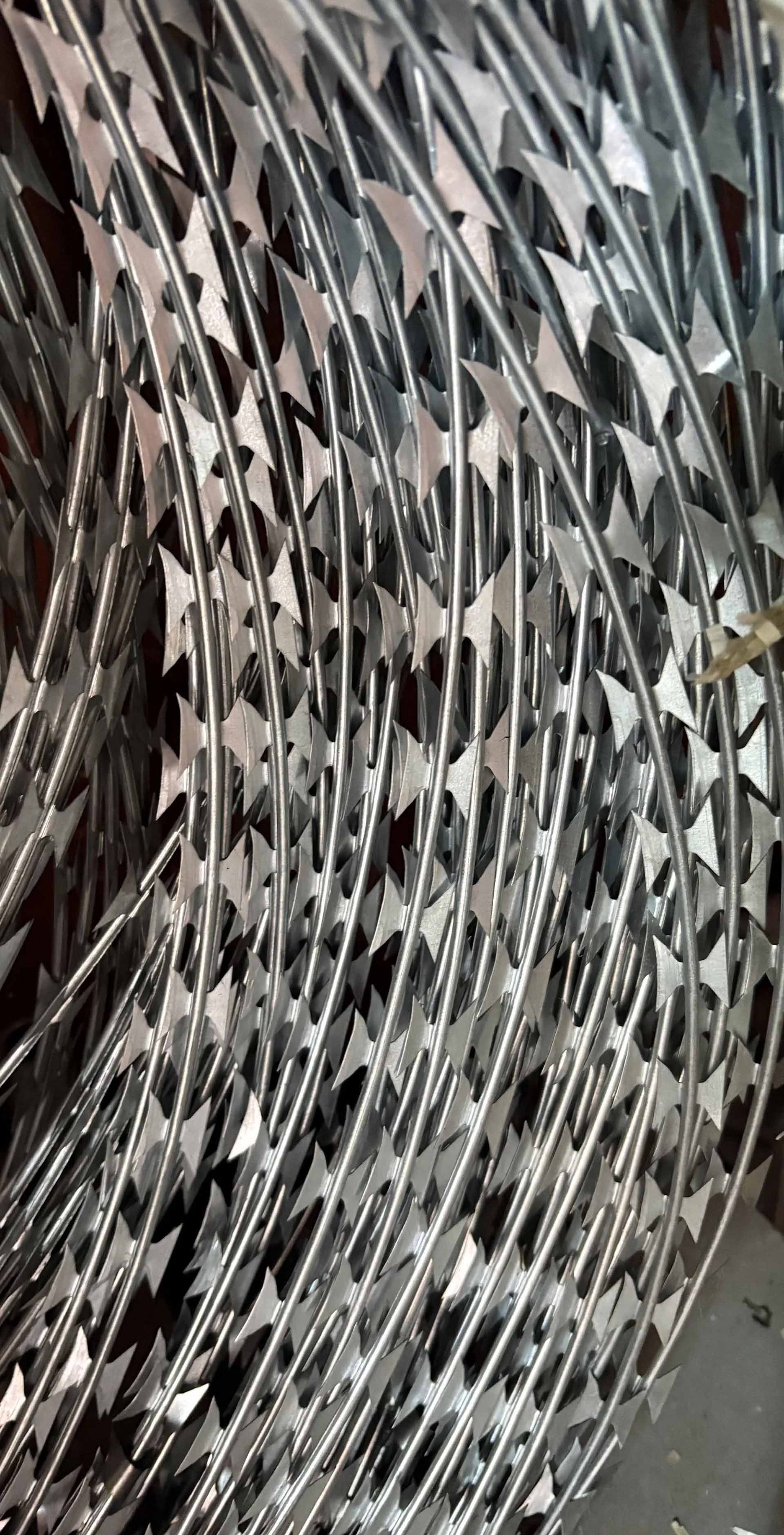 Concertina BT22- nato