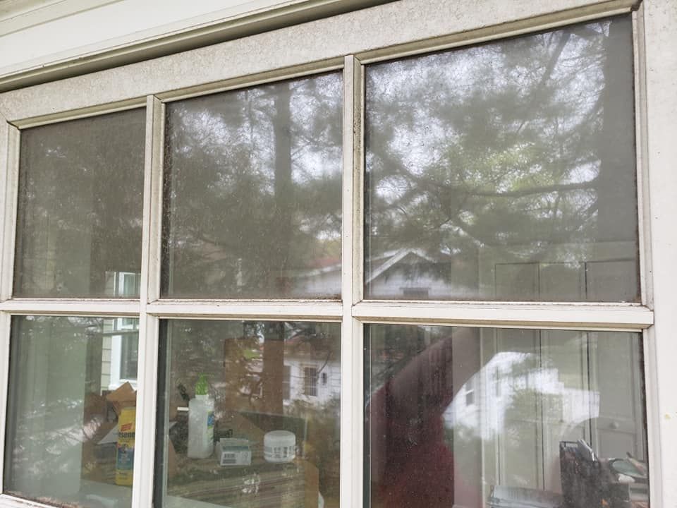 A close up of a window with a reflection of trees in it.
