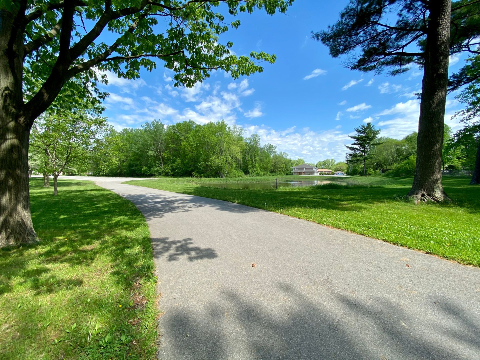 Curved paved path through a sunny green park with trees and grass