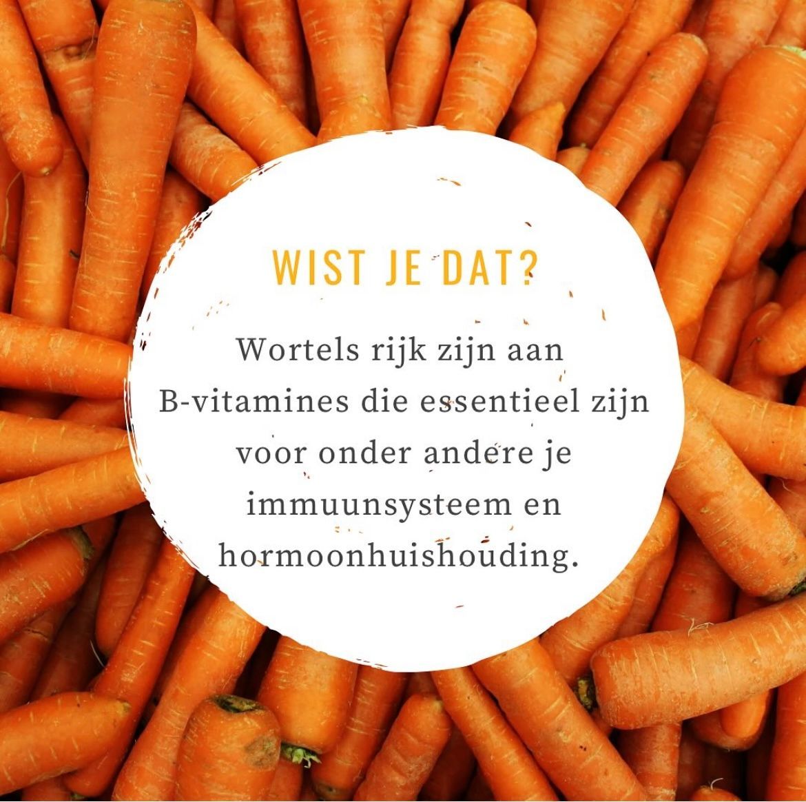 voeding rijk aan omega3