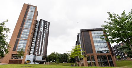 Yellow brick building with white window frames and a flag in front, on a grassy hill under a blue sky.