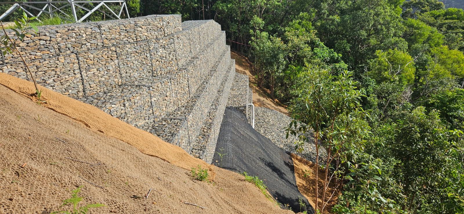 A Gabion Retaining Wall on a Hillside Next to Lush Green Foliage and Eroded Soil — STJ Earthmoving in Mareeba, QLD