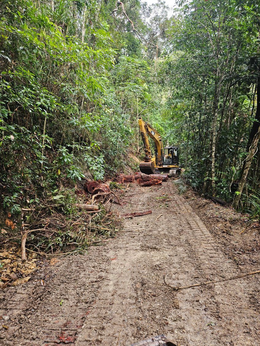 An Excavator Clearing Trees and Debris — STJ Earthmoving in Mareeba, QLD