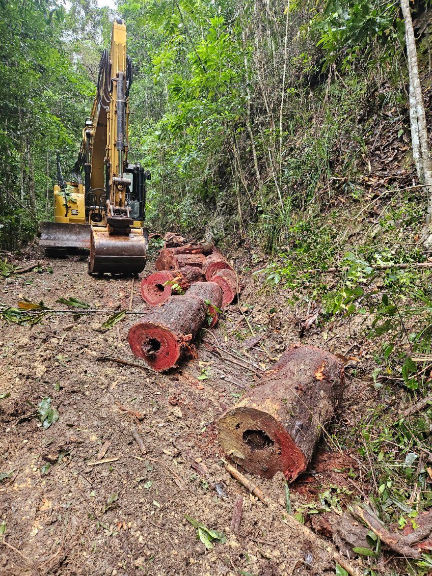 Excavator Clearing a Forest Path, Cut Logs Lie Nearby — STJ Earthmoving in Mareeba, QLD