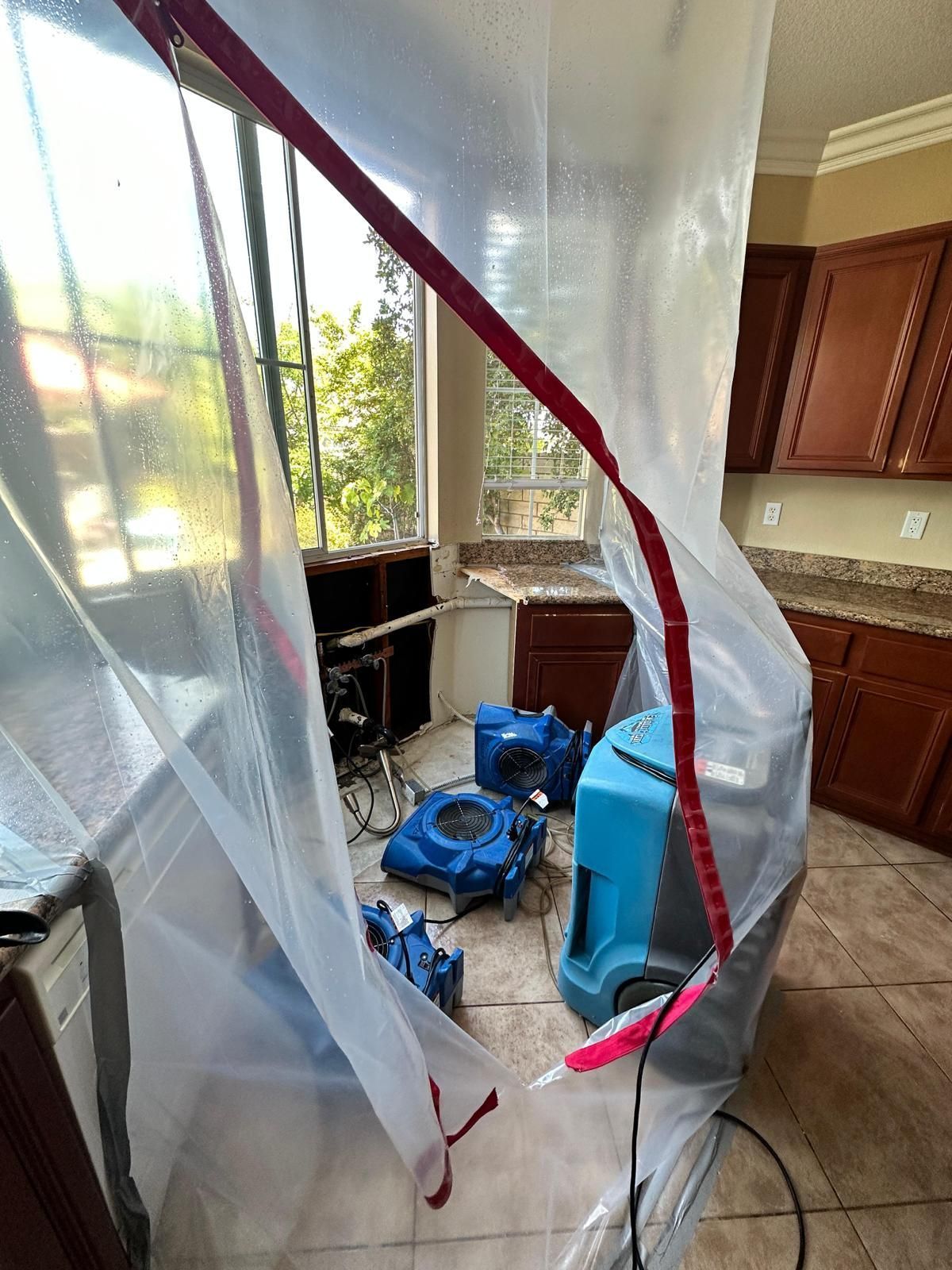 Kitchen Sink Mold Removal in Corona, CA