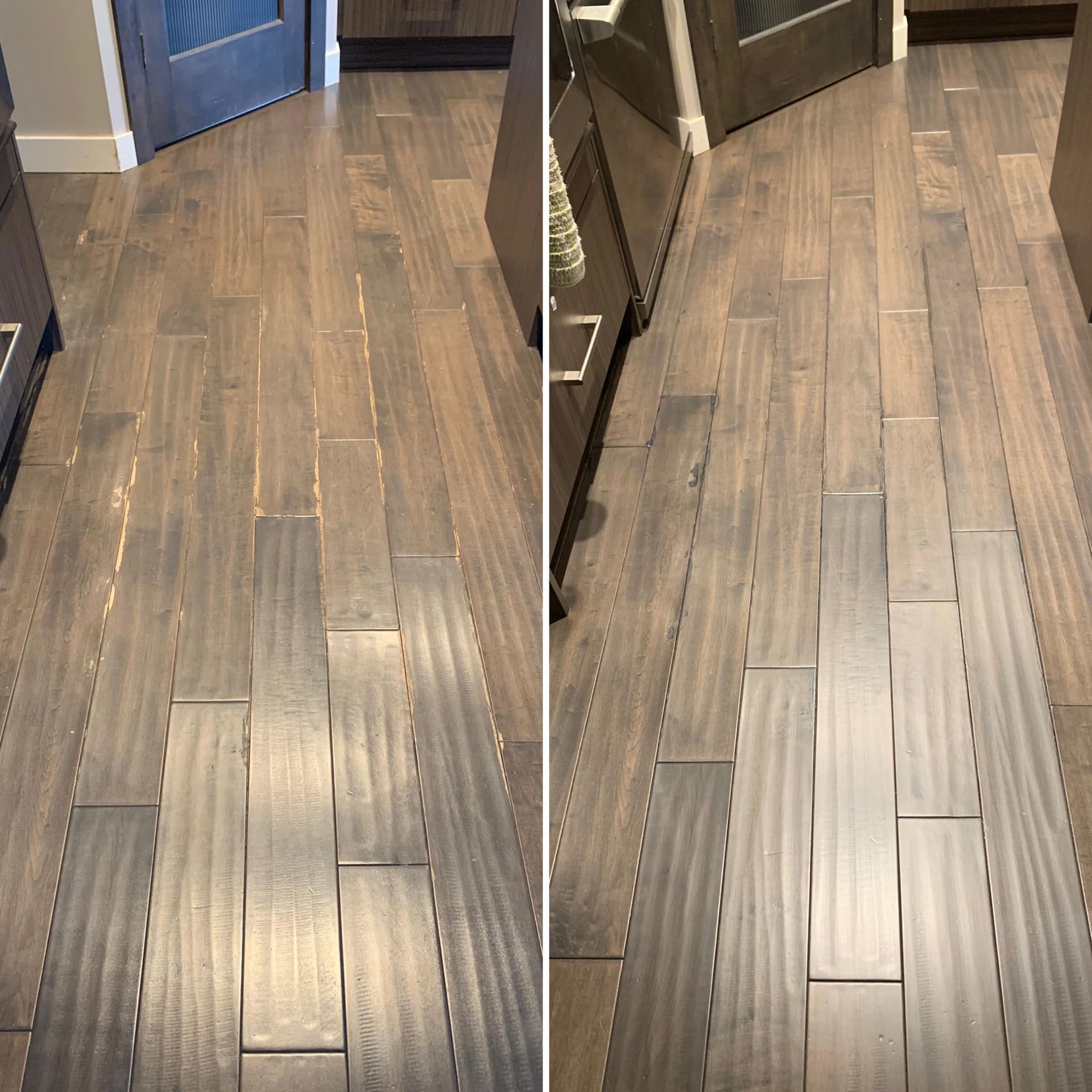 Spectrum Carpet & Upholstery Cleaning in Frederick, MD.