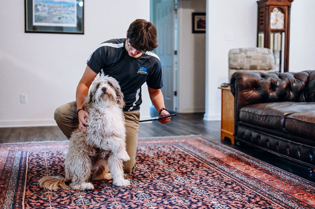 A man is kneeling down next to a dog on a rug in a living room.