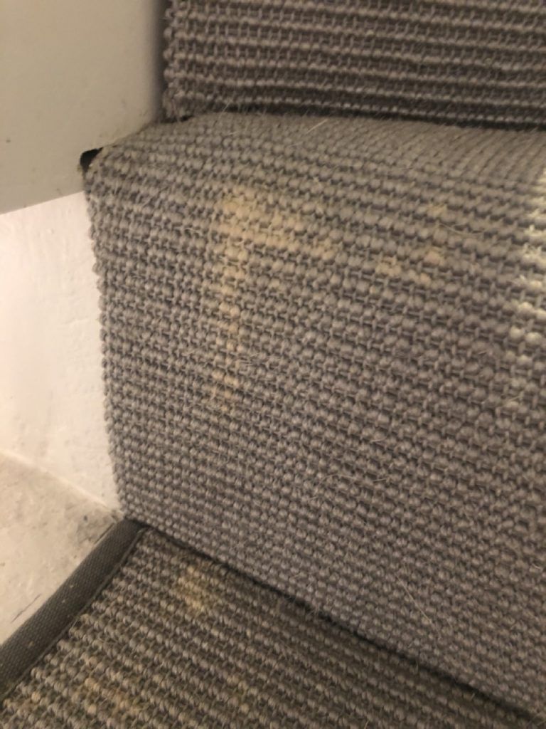 Bleach repair & color correction by Spectrum Carpet & Upholstery Cleaning in Frederick, MD.