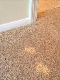 Spectrum Carpet & Upholstery Cleaning in Frederick, MD