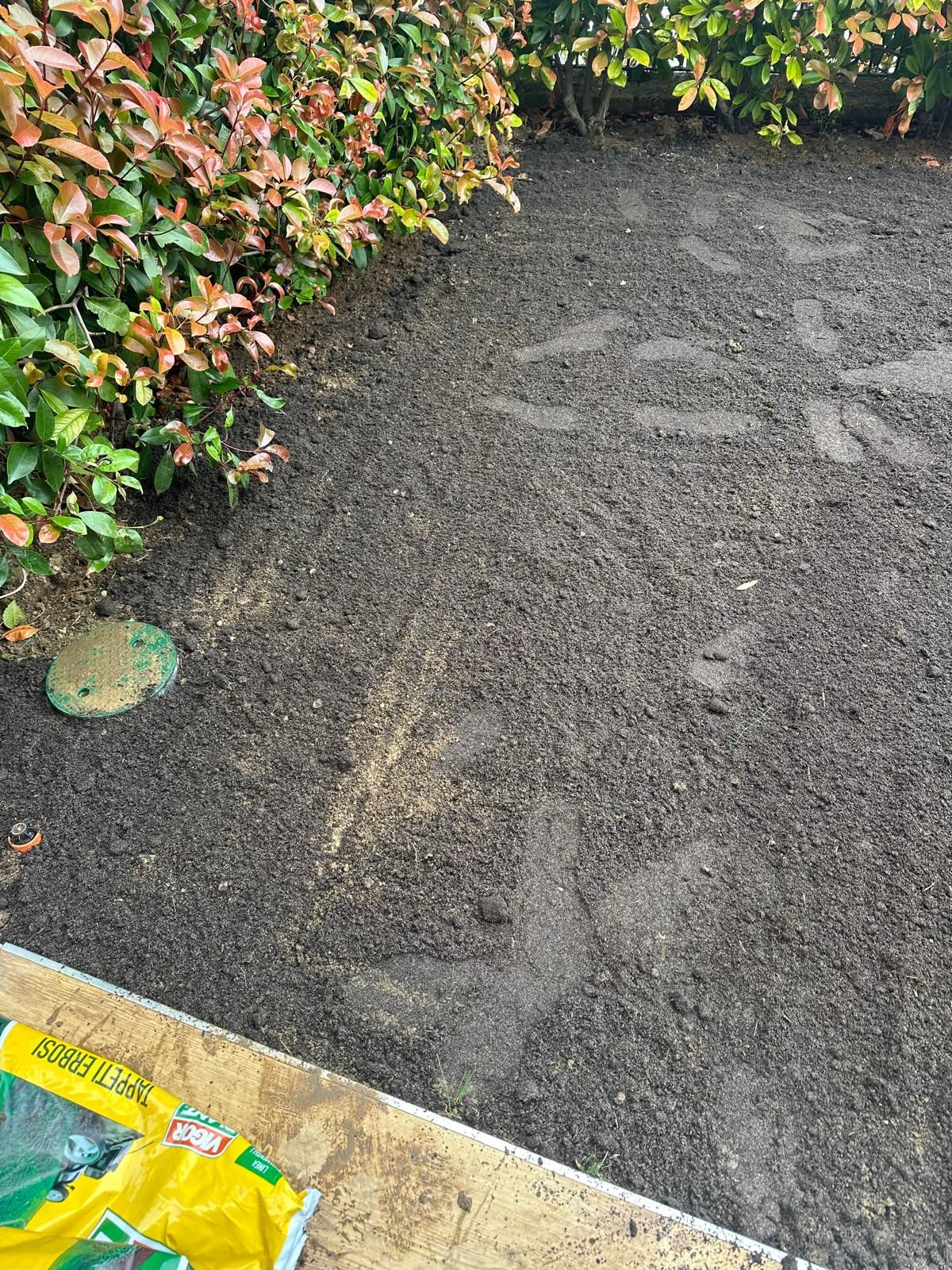 progettazione giardino
