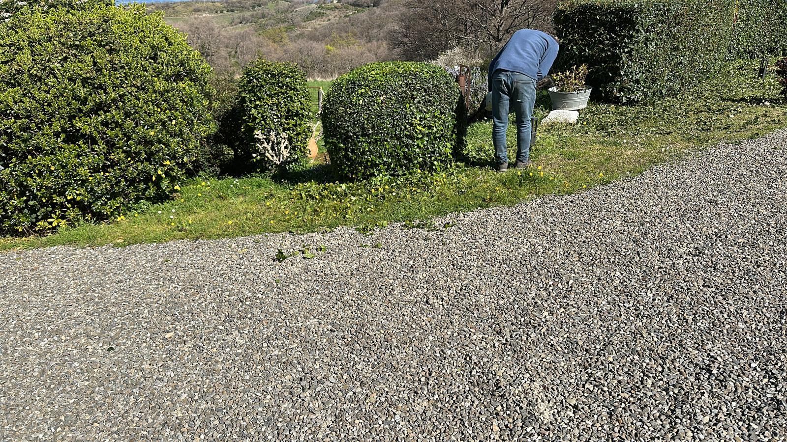 vialetto giardino