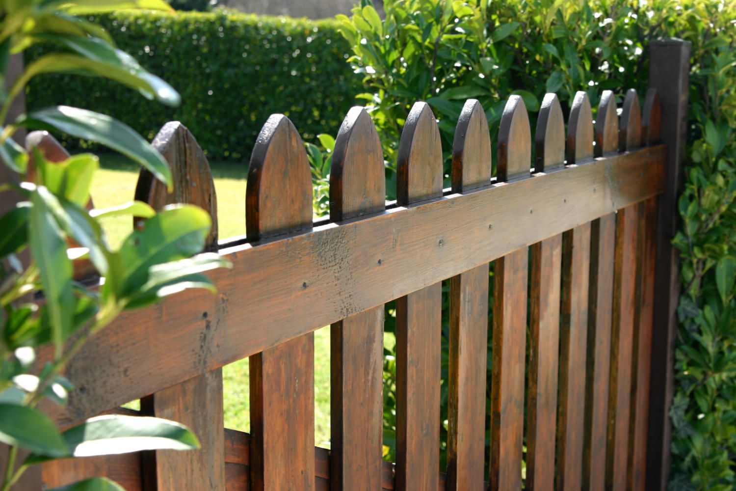 A rustic garden enclosed by a brown wooden fence, creating a charming and natural boundary.