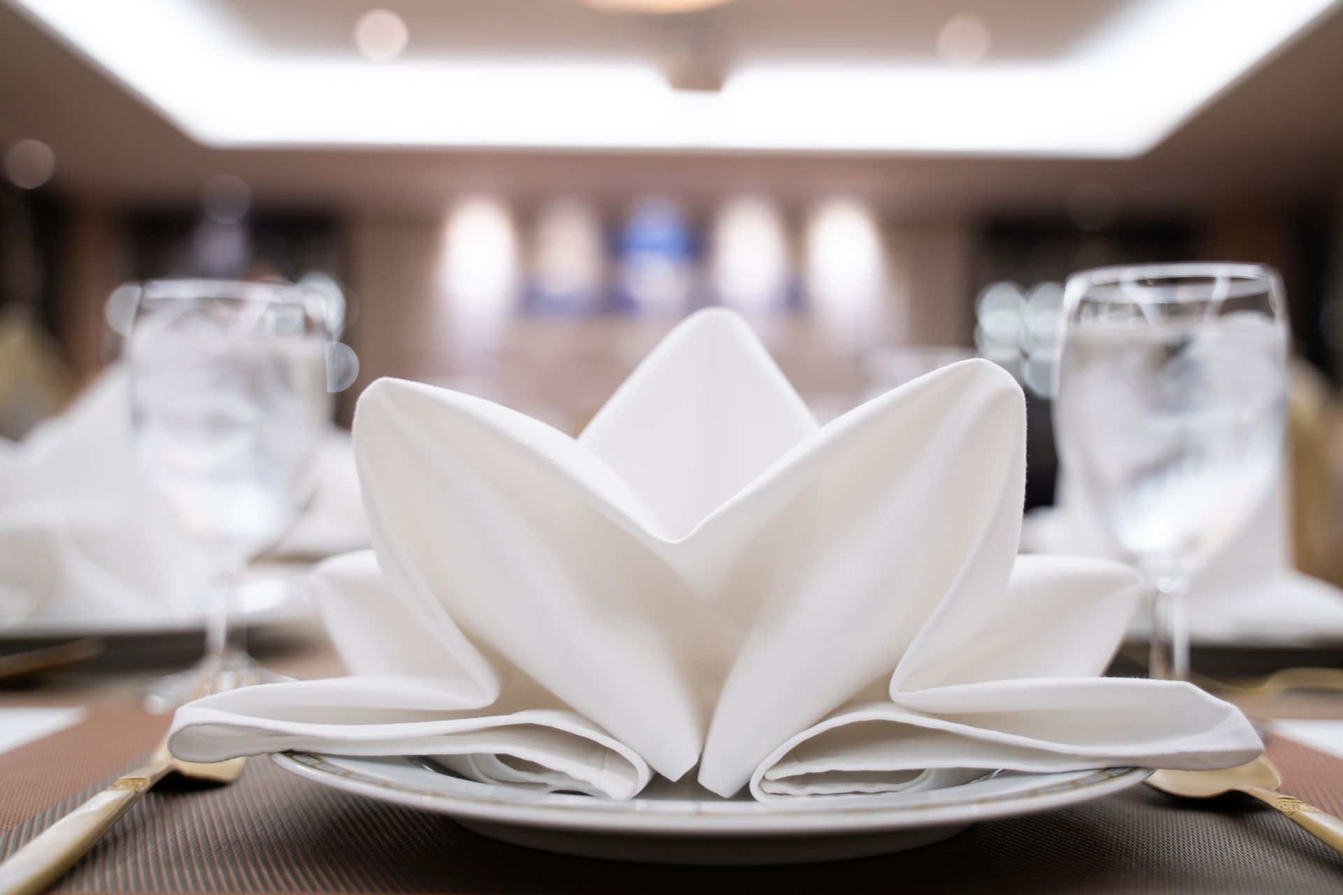 Lavanderia Italia S.r.l.