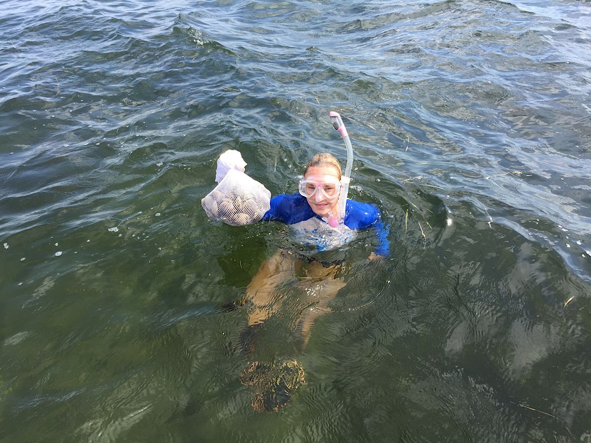 Crystal River Scalloping