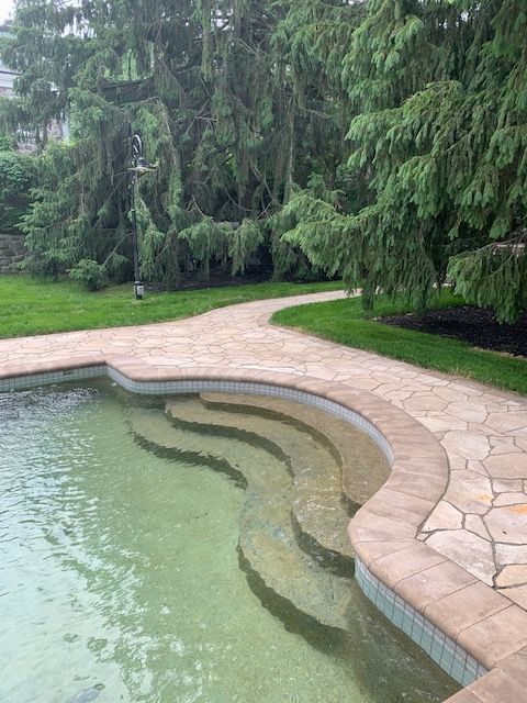 Une piscine avec des marches y menant dans une cour arrière entourée d'arbres.