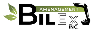 Bilex logo