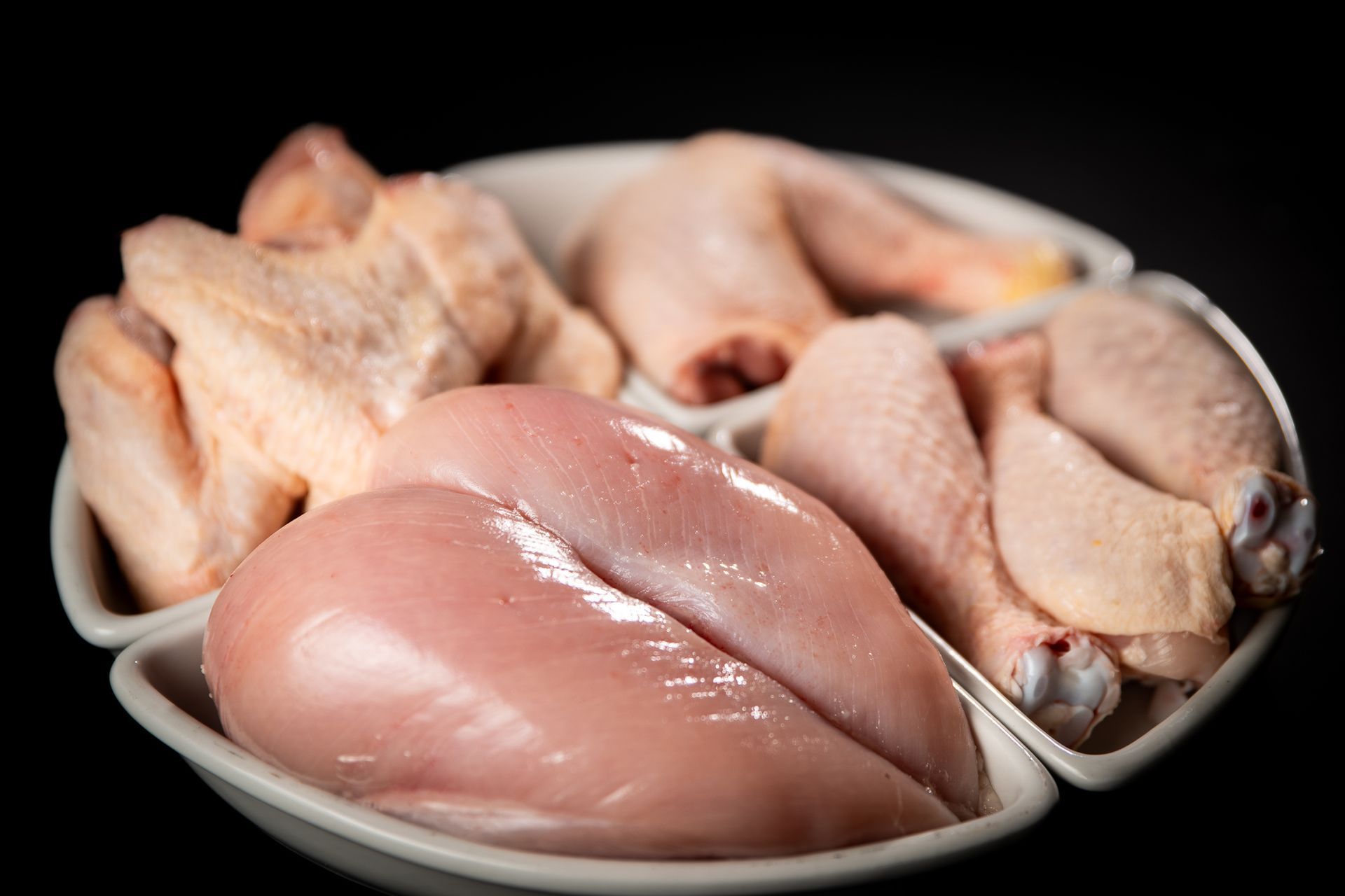 INGROSSO CARNI PEROTTI, Vische, Torino