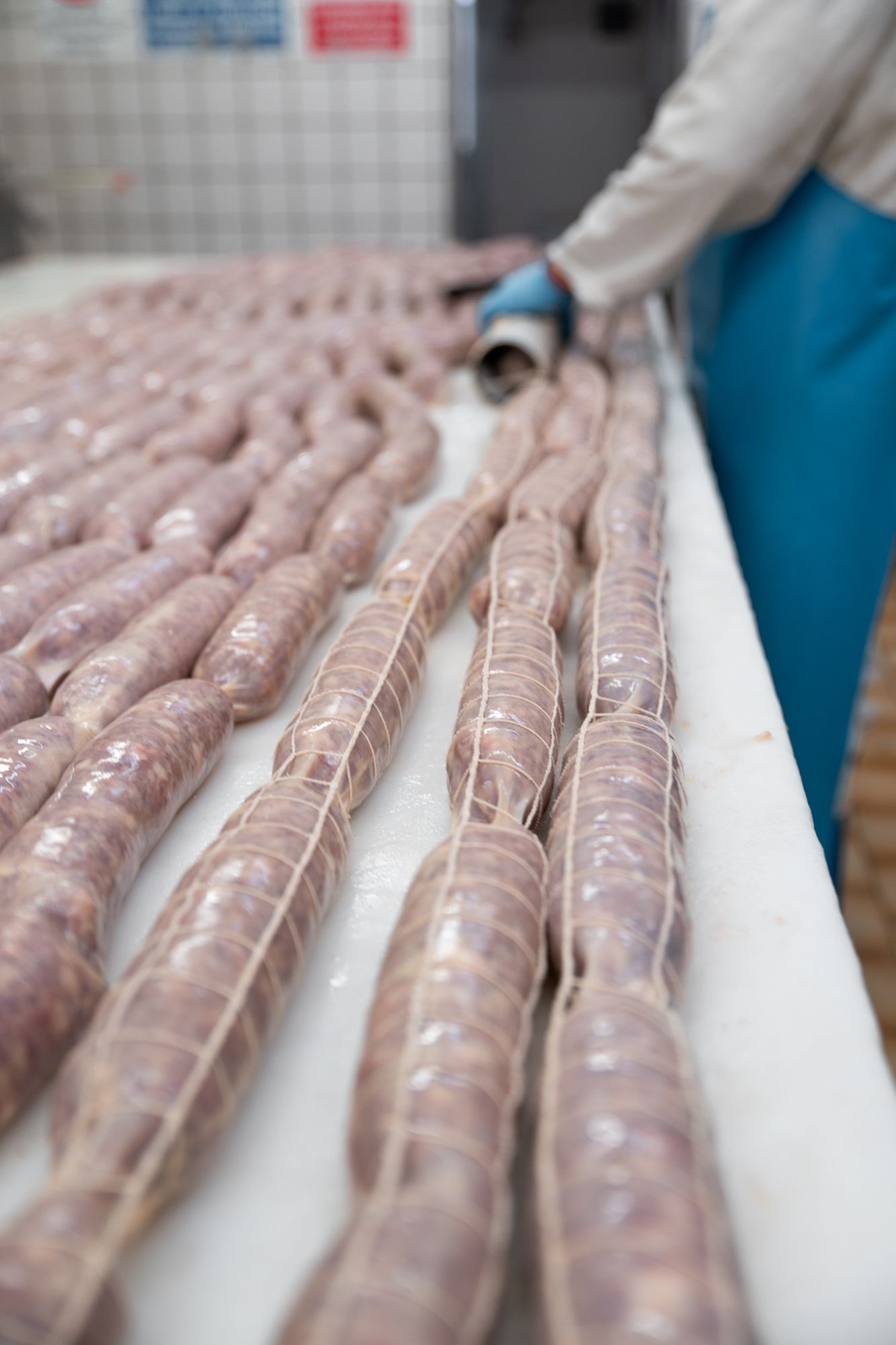 INGROSSO CARNI PEROTTI, Vische, Torino