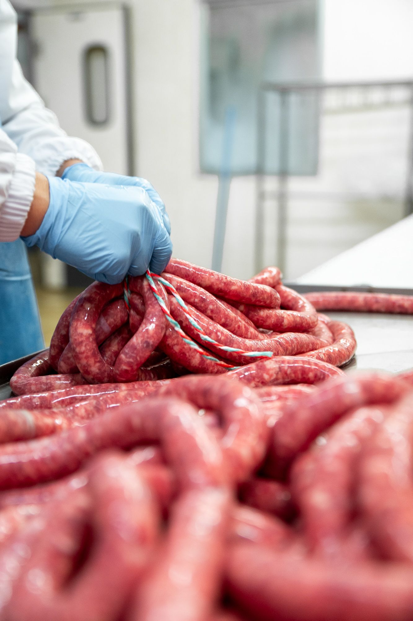 INGROSSO CARNI PEROTTI, Vische, Torino