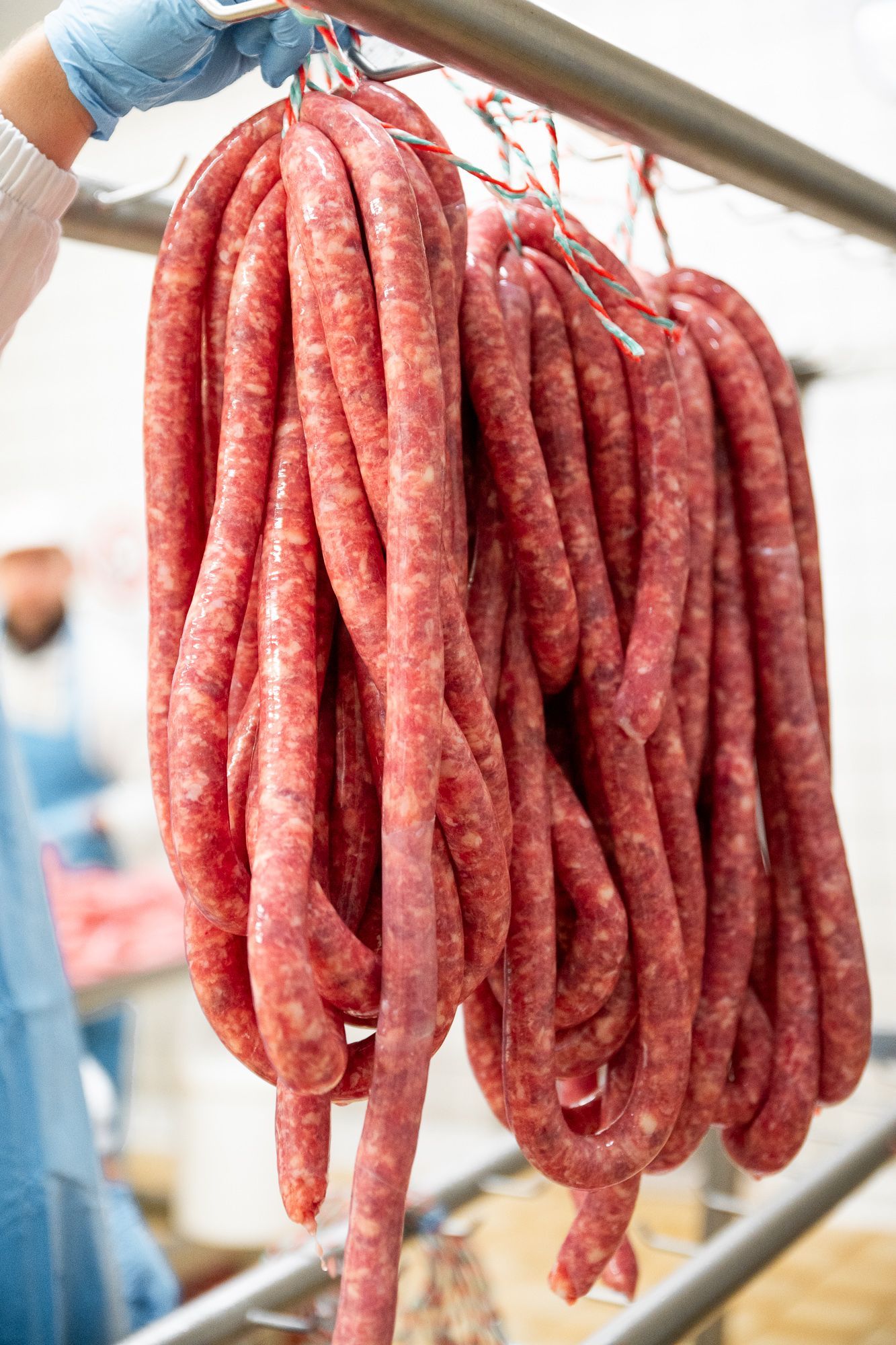 INGROSSO CARNI PEROTTI, Vische, Torino