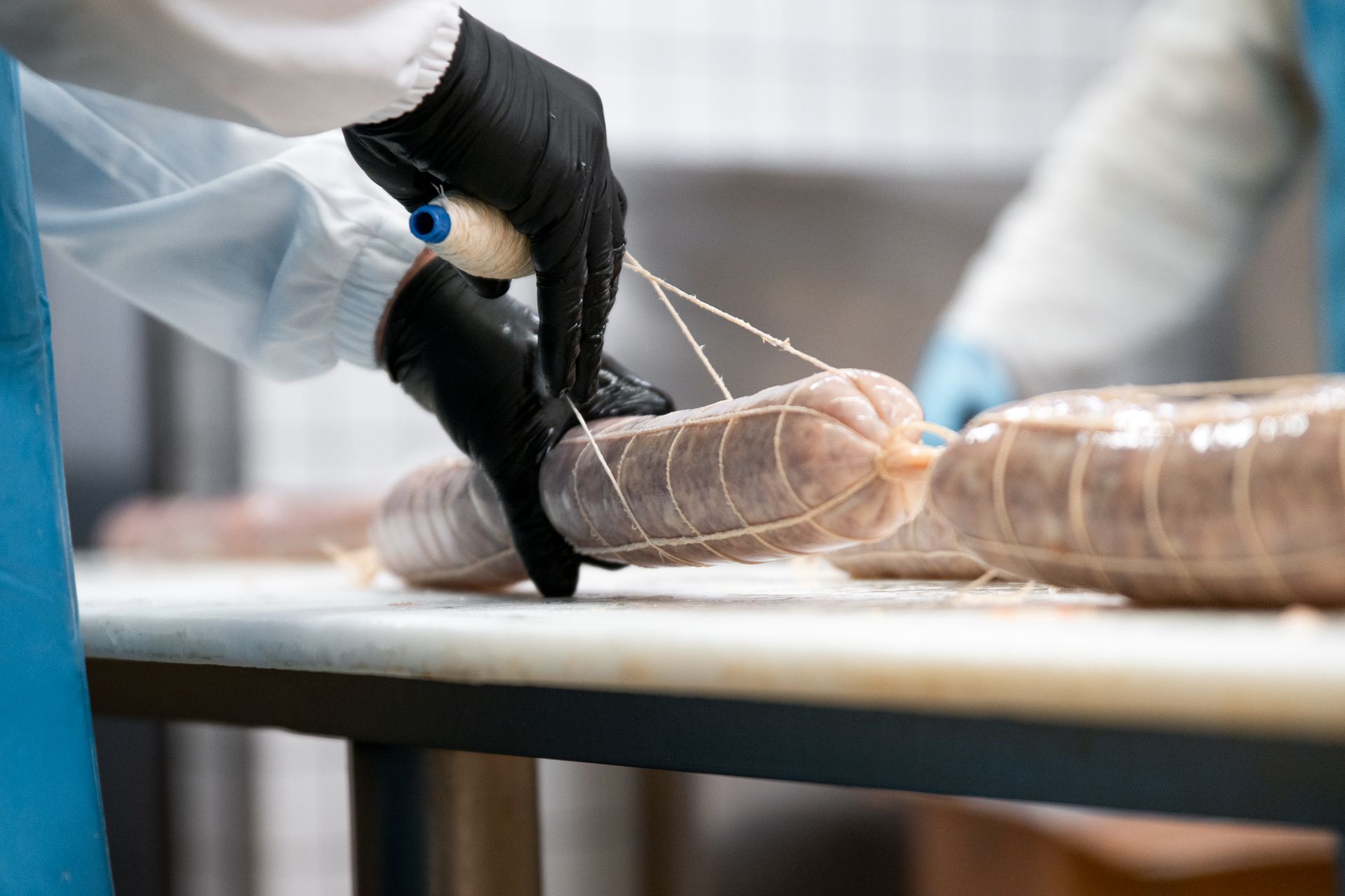 INGROSSO CARNI PEROTTI, Vische, Torino