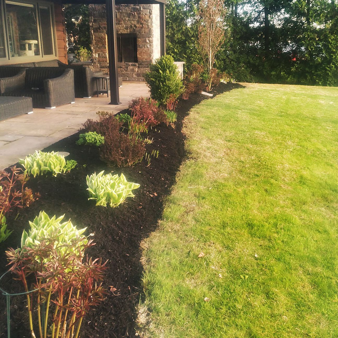 A landscaped garden bed filled with dark mulch and various plants, bordered by a green lawn and a stone patio area.