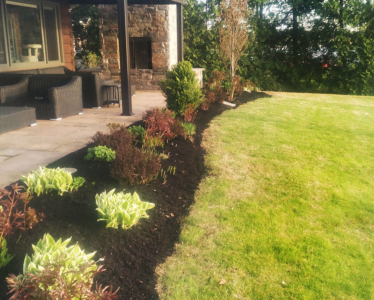 A garden bed with green and reddish plants and dark mulch borders a patio and a grassy lawn on a sunny day.
