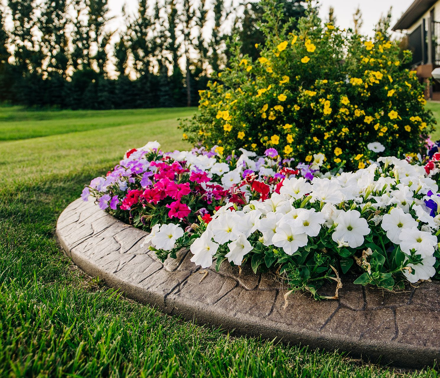 A curved stone garden border filled with white, pink, and yellow flowers, set against a green lawn and tree line.