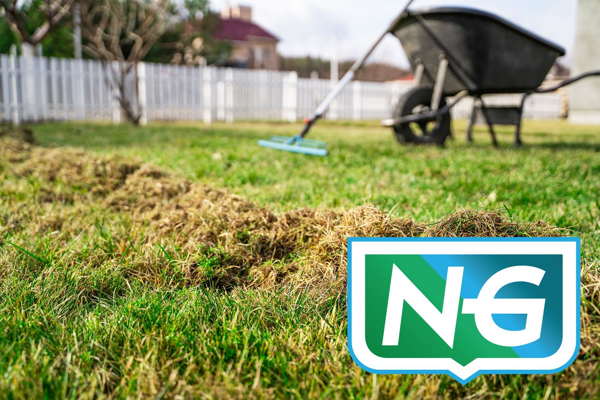 A lawn with raked dead grass in a pile, a wheelbarrow and a rake in the background, with the Nature’s Green logo overlay.