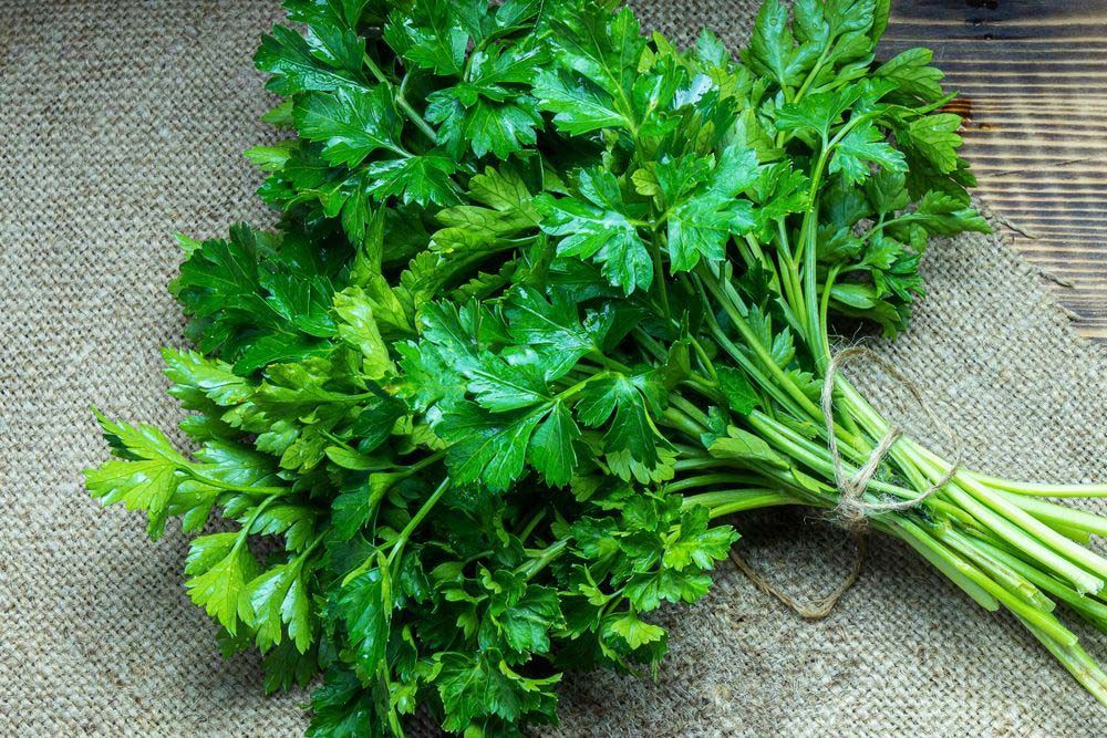 Parsley Healthy Foods From The Garden — Fresh to Door In Queanbeyan NSW