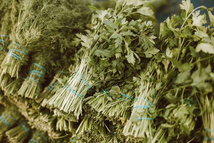 Parsleys Bunch Herb — Fresh to Door In Fyshwick ACT