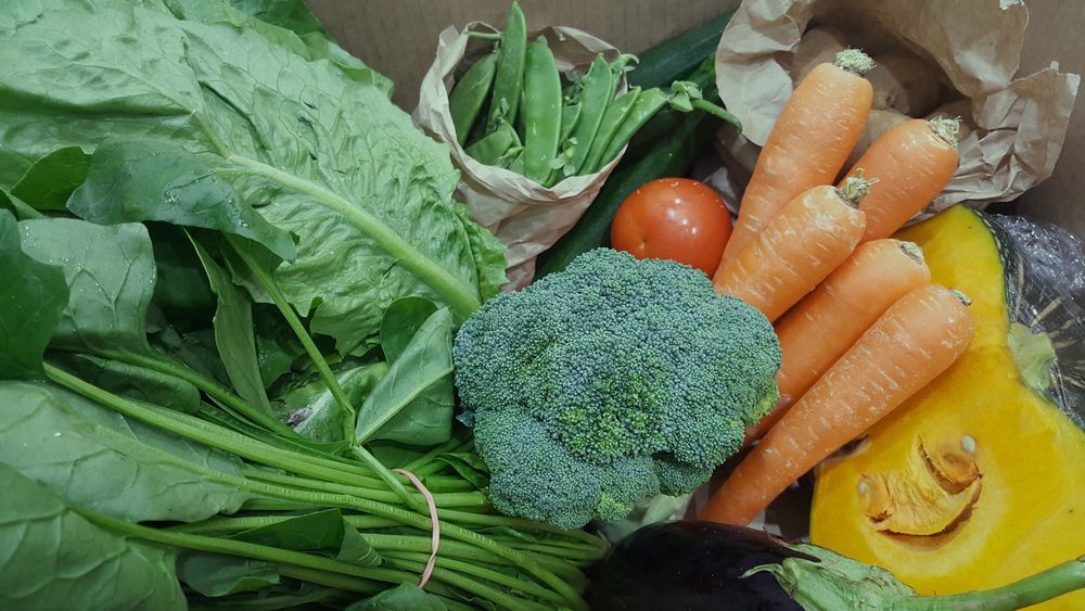 Delivery Box Of Vegestables From Local Farmer — Fresh to Door In Queanbeyan NSW
