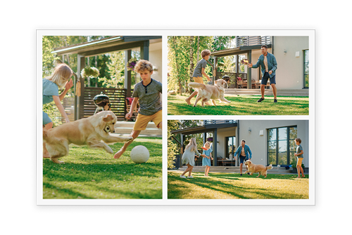 A collage of four pictures of a family playing with a dog.