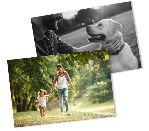 A woman and a child are walking a dog in a park.