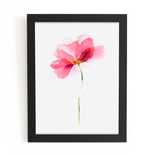 A framed picture of a pink flower on a white background