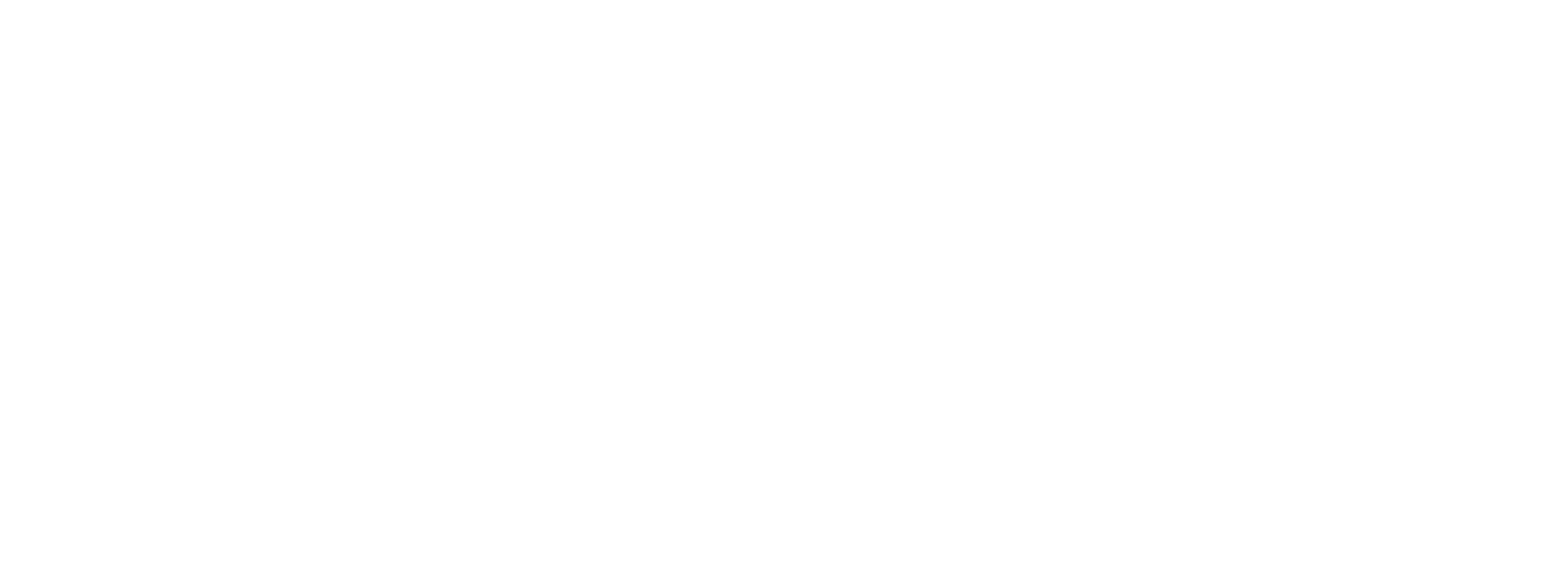 Logo van babyconsulent zuid limburg