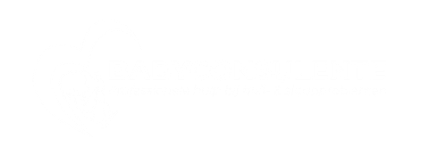 Logo van babyconsulent zuid limburg