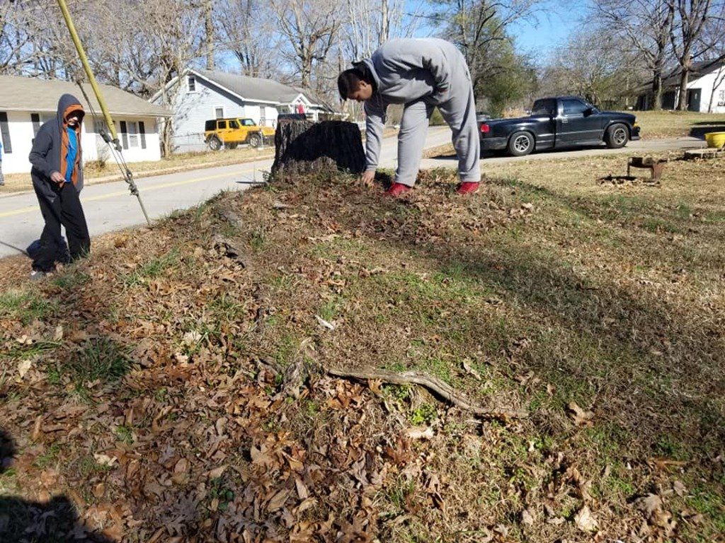 Measuring Tree Stump