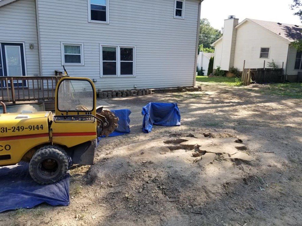 Residential Tree Stump Removal