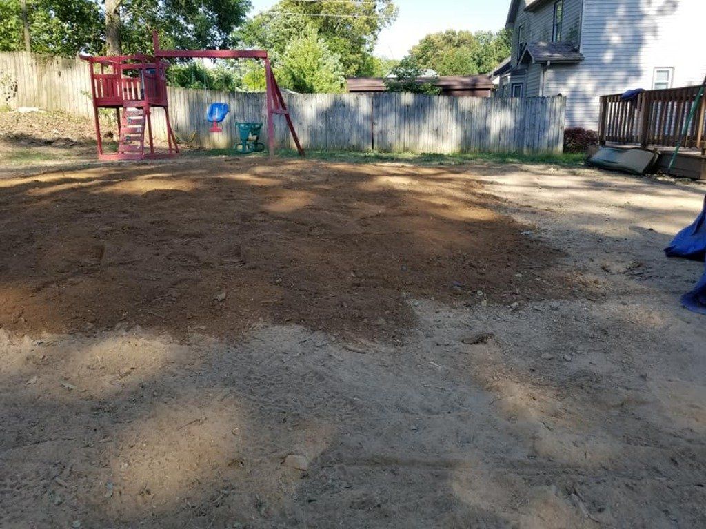 Residential Tree Stump Cleanup