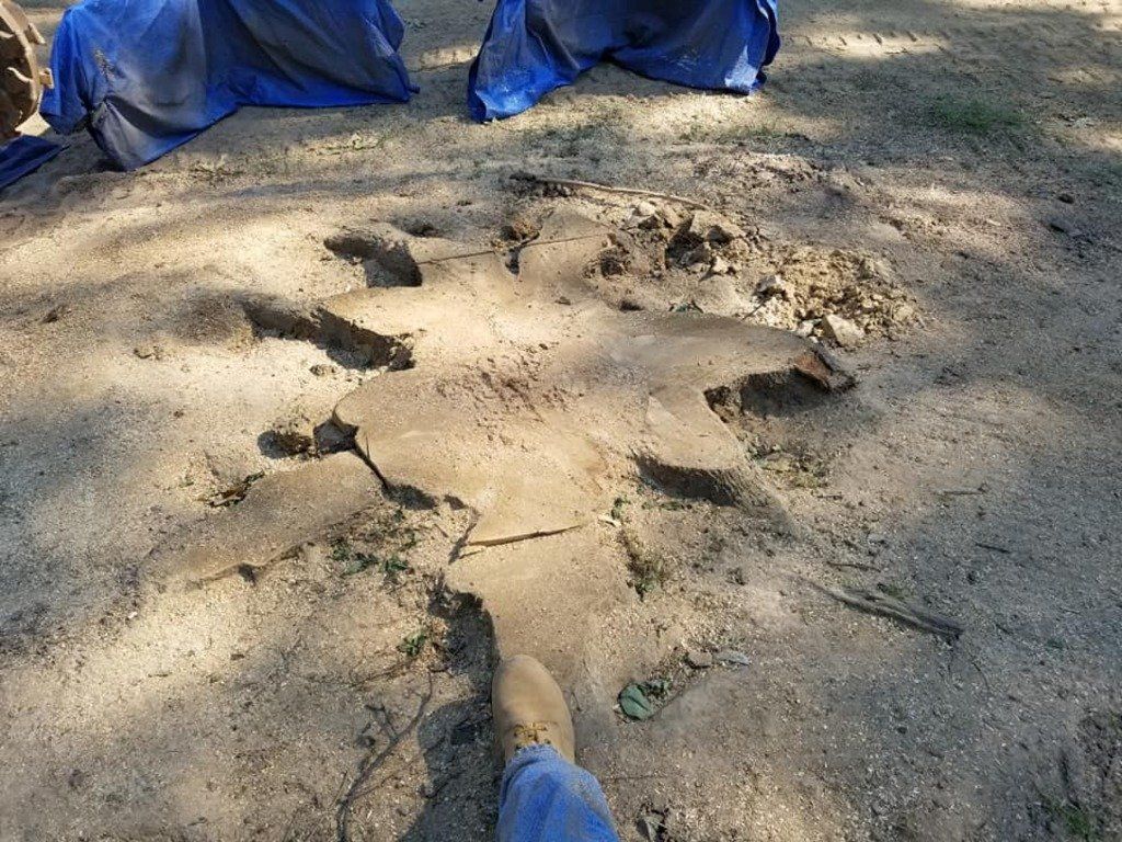 Residential Stump Removal