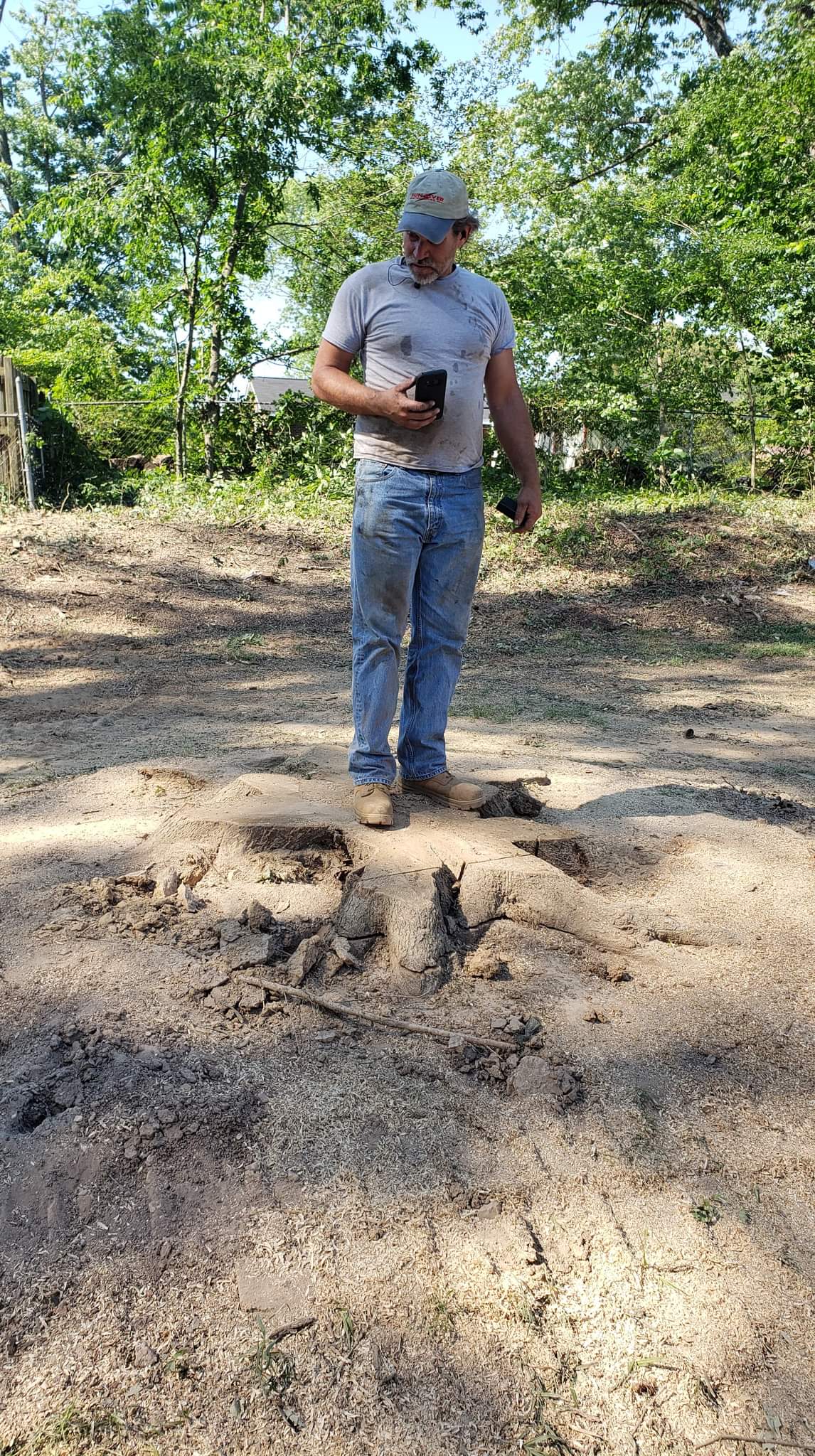 Checking Old Tree Stump