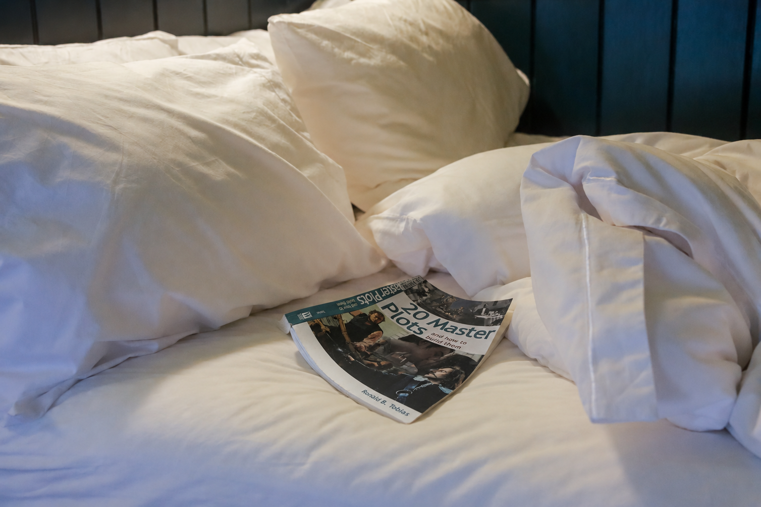 Cosy bed with book
